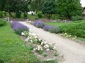Tihany - parkreszlet